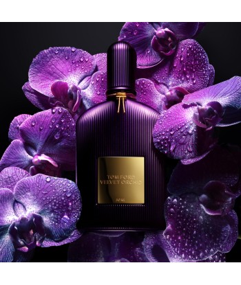 Velvet Orchid pas cher chine