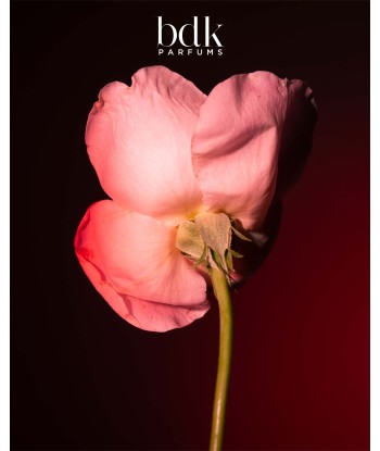 Tabac Rose une grave pollution 