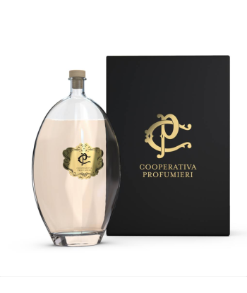 DIFFUSEUR PARFUM D’AMBIANCE « COOPERATIVA PROFUMIERI » - FRUITY BLEND - 3000 ML   CHOGAN france